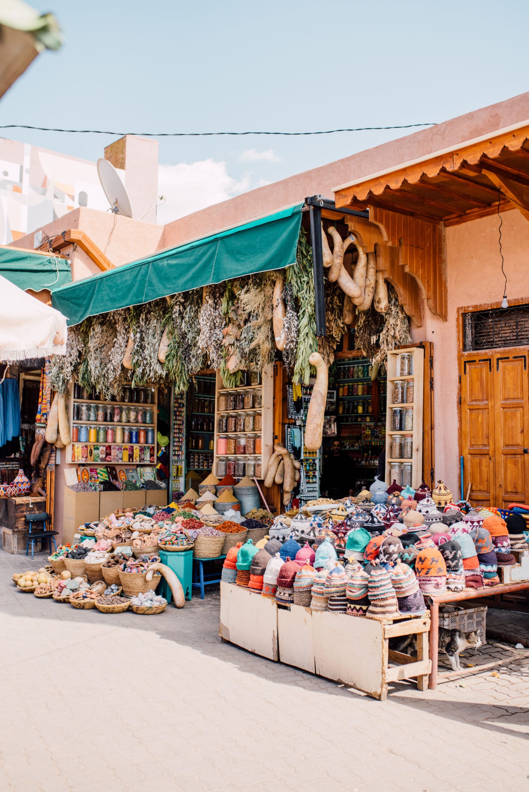 morocco travel department